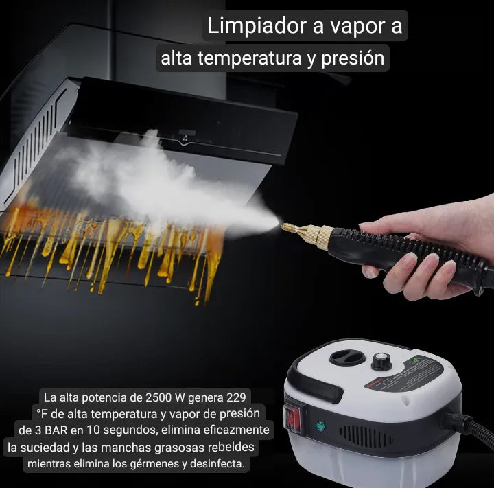 LIMPIADOR VAPOR PROFESIONAL