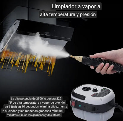 LIMPIADOR VAPOR PROFESIONAL