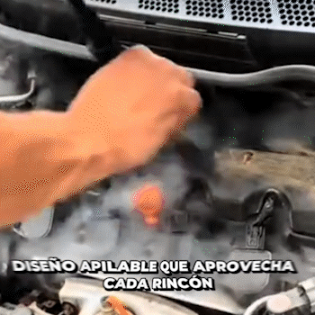 LIMPIADOR VAPOR PROFESIONAL